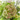 RAMO CESTO VERDE CON FLORES