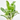 AGLAONEMA WHITE LIME MACETA 12CM