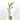 COCOTERO 3L + MACETERO HEMERA TORTORA 25CM