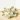 RAMO NATURAL LISIANTHUS, ROSAS Y LIMONIUM