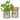 KIT CULTIVO BOLSA PEREJIL