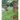 carrillon rojo de jardin