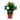 ROSAL MINI MACETA 11CM