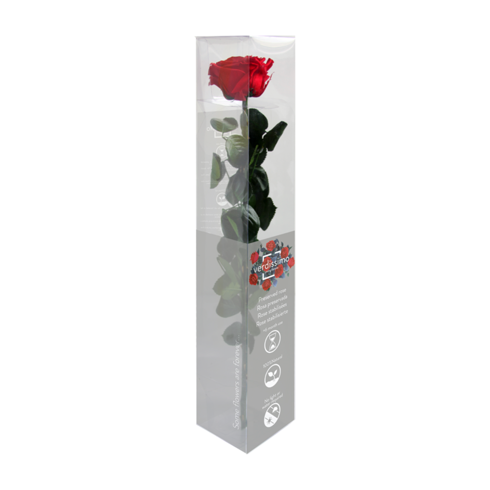 ROSA ETERNA ROJA