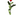 ROSA ETERNA ROJA