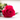 ROSA ETERNA ROJA