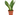 SANSEVIERIA MACETA 17CM
