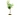 LIMONERO 5L