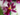 ORQUIDEAS VARIEDADES maceta 9 cm de diametro
