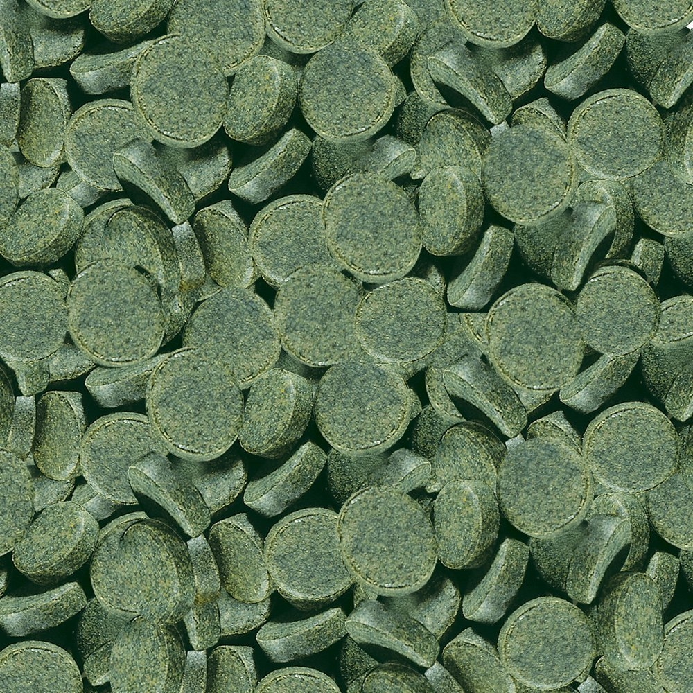 Sera Spirulina 24 pastillas