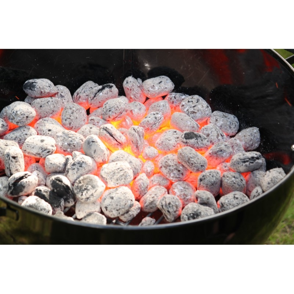 WEBER briquetas de carbÃ³n