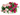 CLAVEL JARDINERA 25 CM