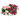 CLAVEL JARDINERA 25 CM