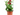 GERANIO REY BALCON MACETA 13CM
