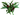 DRACENA LEMON LIME 3L