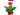 GERBERA Planta MACETA DIAMETRO 12CM