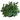 SALVIA FARINACEA MACETA 2 LITROS