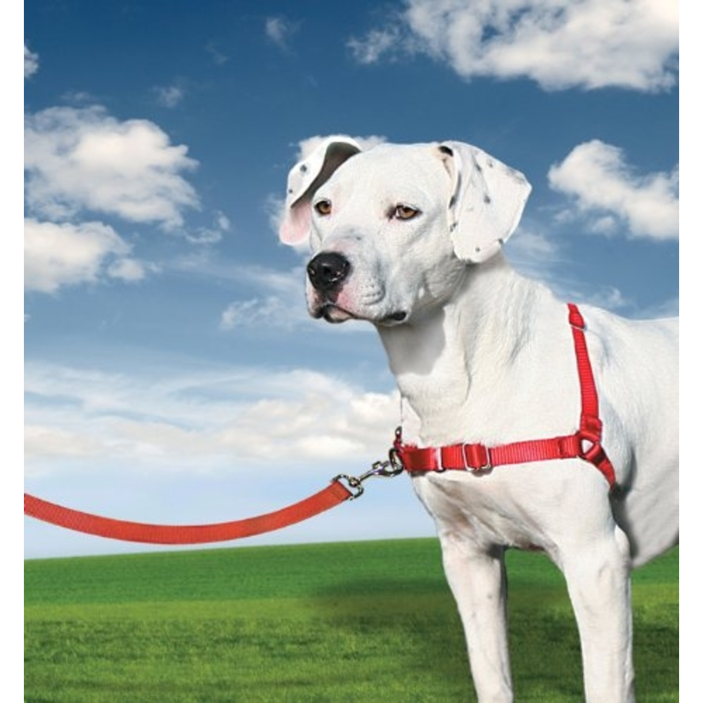 EASY WALK ARNES MEDIANO ROJO
