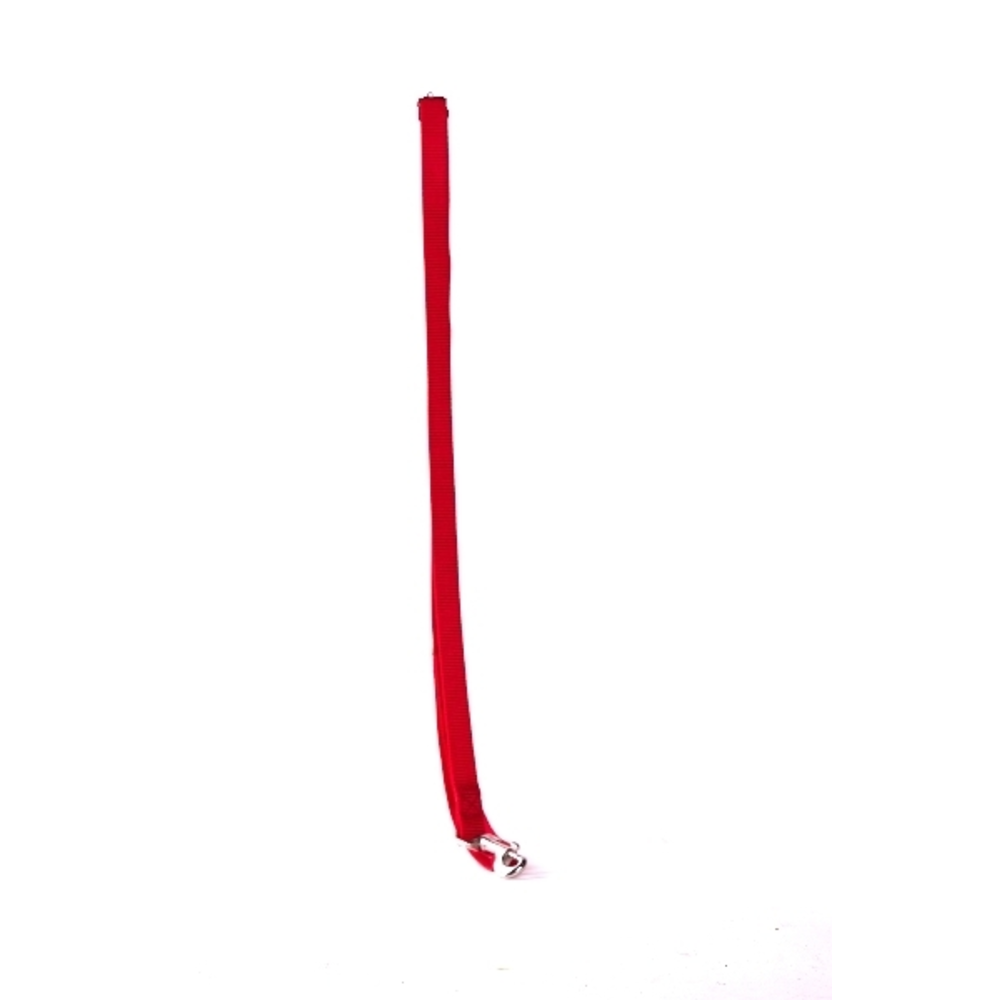 CORREA PERRO 100CM AGUAMARINA