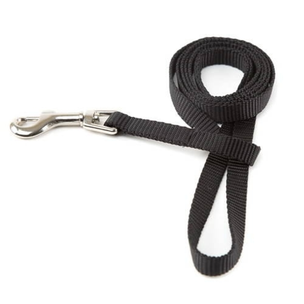 CORREA PERRO 100CM AGUAMARINA