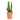 cactus maceta 5