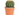 cactus maceta 5