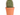 cactus maceta 5