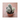 cactus maceta 5