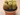 cactus maceta 5