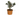 ACEBO