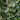 HIEDRA VERDE ARTIFICIAL MATA COLGANTE 100CM