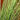 GRAMINEA VERDE ARTIFICIAL 65CM