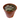 LITHOPS en maceta