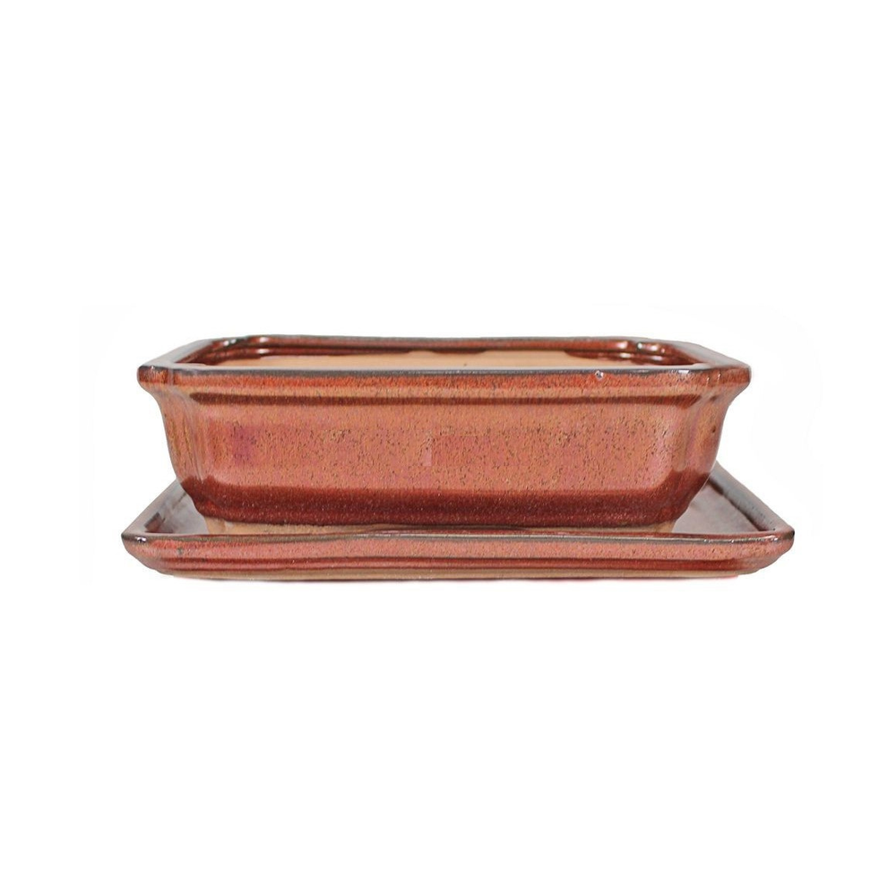 MACETA BONSAI RECTANGULAR + PLATO COLORES 20CM