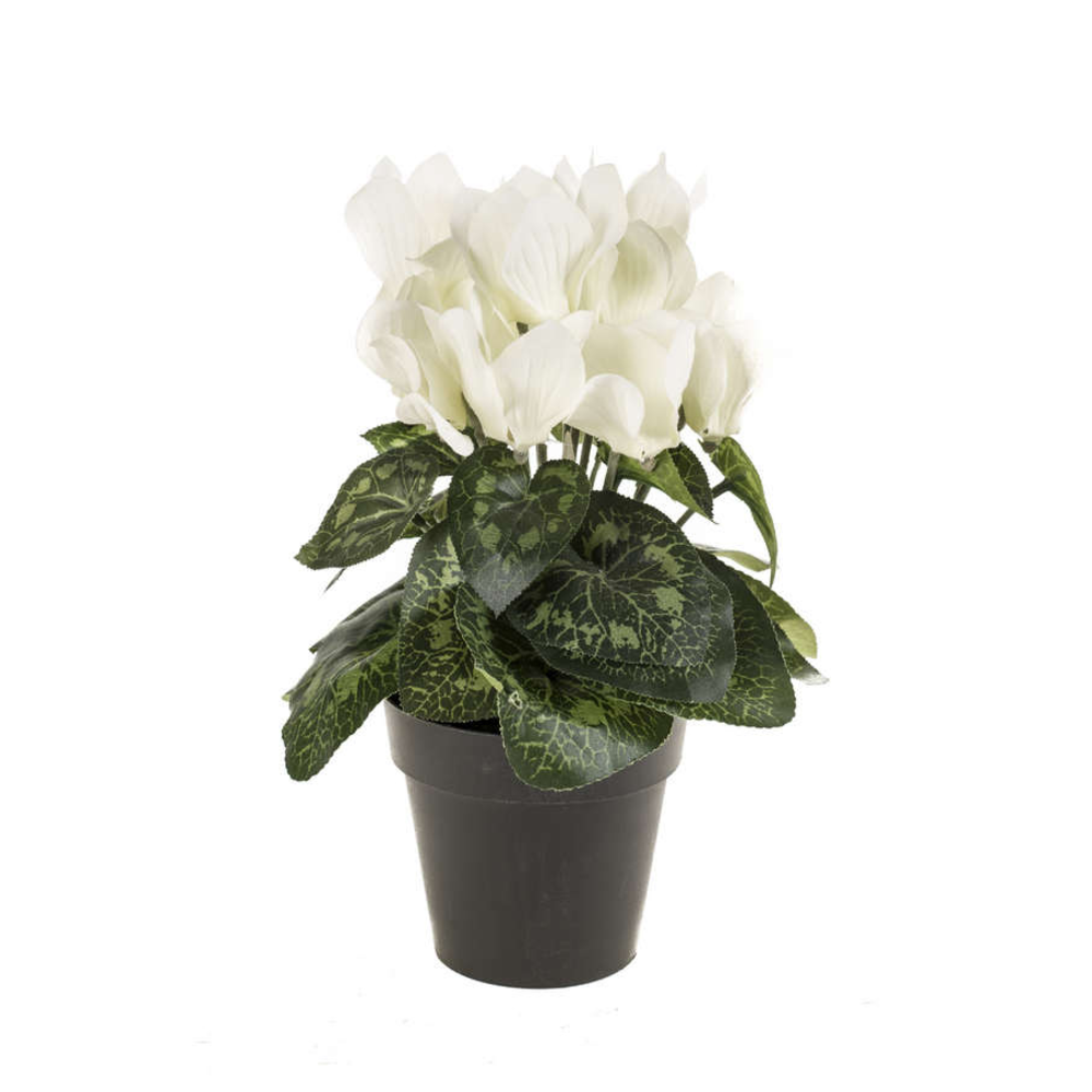 CYCLAMEN ARTIFICIAL BLANCO MACETA 25CM