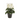 CYCLAMEN ARTIFICIAL BLANCO MACETA 25CM