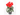 CYCLAMEN ARTIFICIAL BLANCO MACETA 25CM