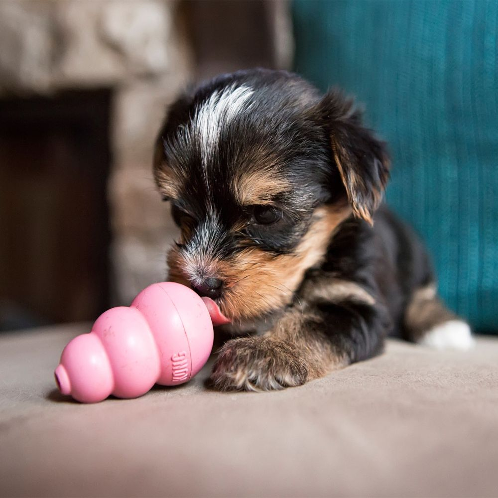 Kong Puppy Juguete para Premios para perros cachorros