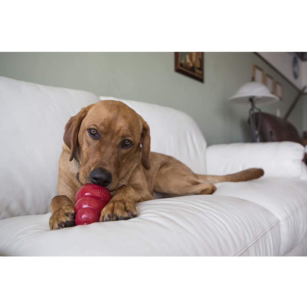 Kong Snack Galletas de Higado para perros 100% naturales