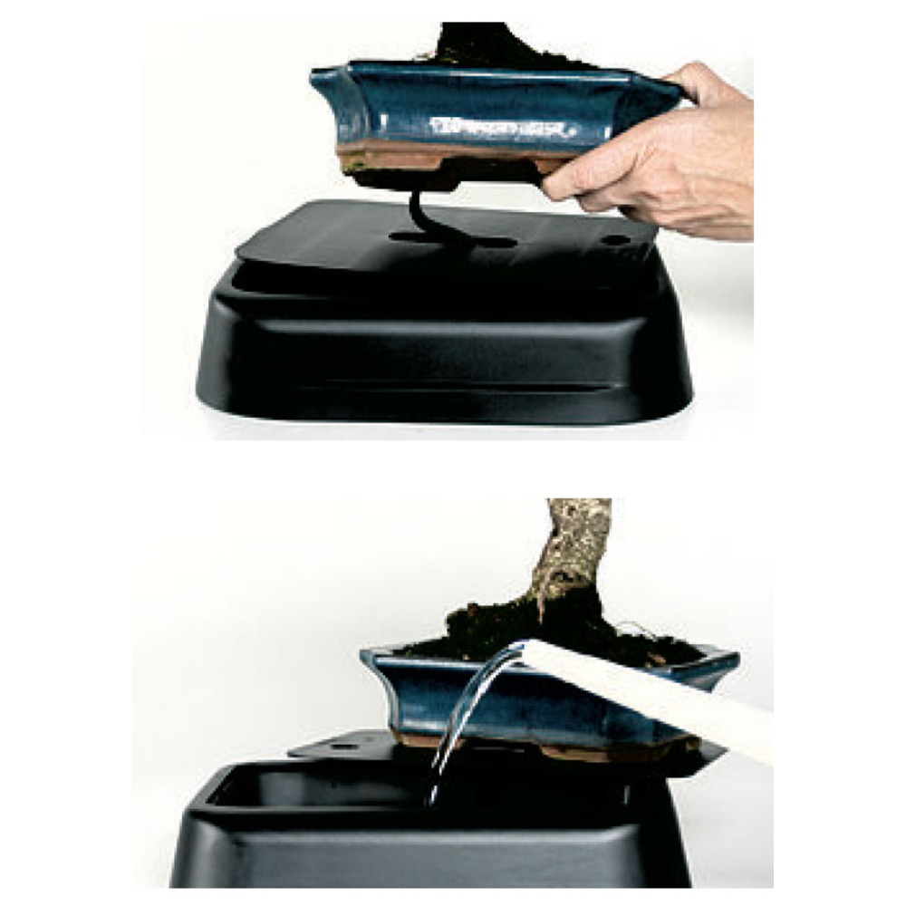 soporte bonsai con sistema de riego