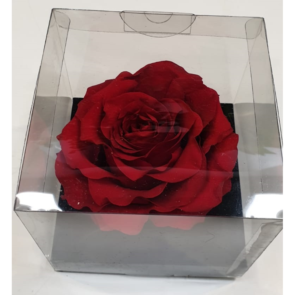 CABEZA ROSA ETERNA 9CM DIÁMETRO