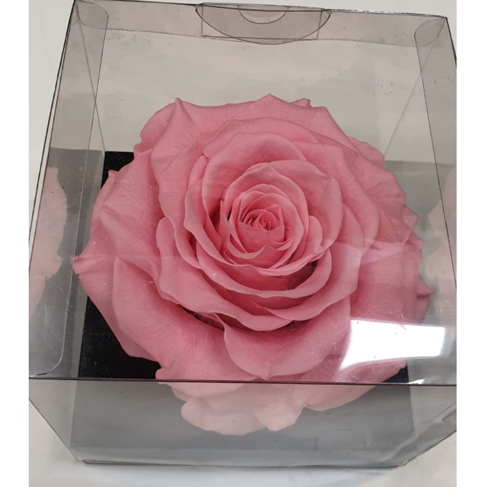 CABEZA ROSA ETERNA 9CM DIÁMETRO