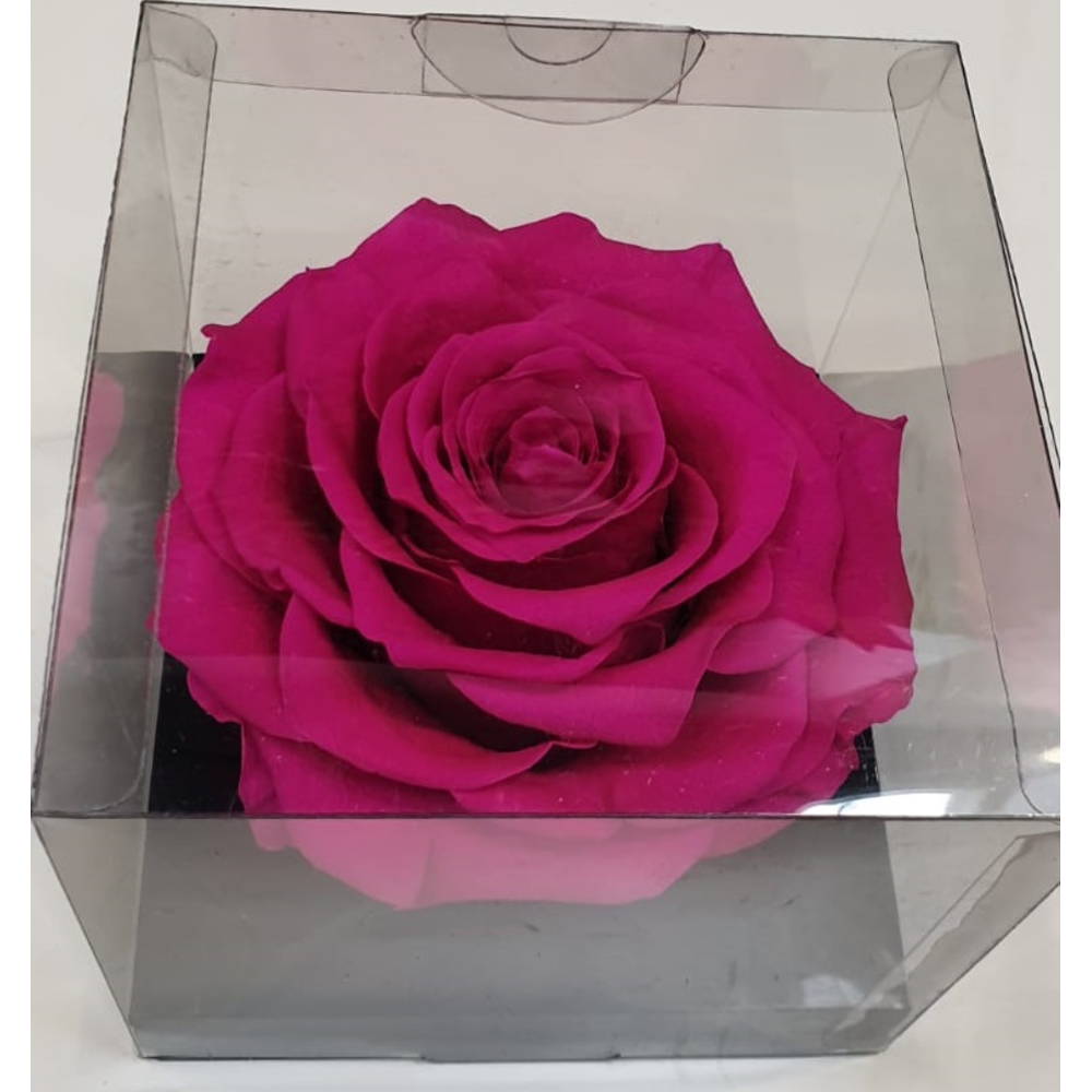CABEZA ROSA ETERNA 9CM DIÁMETRO