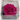 CABEZA ROSA ETERNA 9CM DIÁMETRO