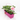 MIX FRESAS JARDINERA 40CM