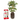 KIT CULTIVO INTERIOR TOMATE CHERRY CON AUTORIEGO