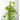 TUTOR COCO 1.20M 120cm