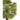 PALMERA WASHINGTONIA Maceta 10 litros