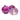 CEBOLLA MORADA 50 PLANTAS