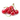 CEREZO GUINDO MACETA 10L